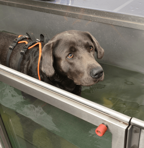 Physical Therapy & Rehabilitation